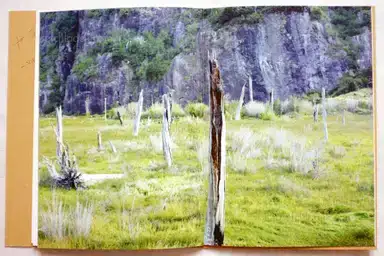 Sample page 2 for book "Cunha, Fábio – Fábio Cunha - Almost Fiction" Sample page 2 for book "Cunha, Fábio – Fábio Cunha - Almost Fiction"