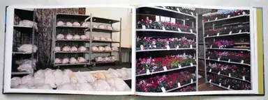 Sample page 3 for book "Grant, Ken – Ken Grant - Flock" Sample page 3 for book "Grant, Ken – Ken Grant - Flock"