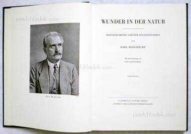 Sample page 1 for book  Karl Blossfeldt – Wunder der Natur