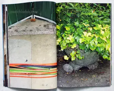 Sample page 10 for book "Felixmüller, Maria L – Maria Felixmüller - Glory Days" Sample page 10 for book "Felixmüller, Maria L – Maria Felixmüller - Glory Days"