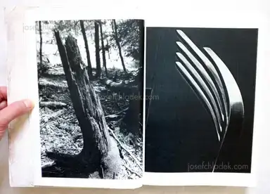 Sample page 17 for book "Yamawaki, Toshitsugu – Toshitsugu Yamawaki - Dual I" Sample page 17 for book "Yamawaki, Toshitsugu – Toshitsugu Yamawaki - Dual I"