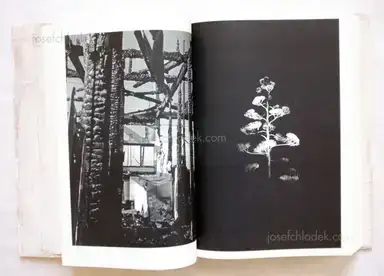 Sample page 11 for book "Yamawaki, Toshitsugu – Toshitsugu Yamawaki - Dual I" Sample page 11 for book "Yamawaki, Toshitsugu – Toshitsugu Yamawaki - Dual I"