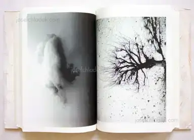 Sample page 9 for book "Yamawaki, Toshitsugu – Toshitsugu Yamawaki - Dual II" Sample page 9 for book "Yamawaki, Toshitsugu – Toshitsugu Yamawaki - Dual II"