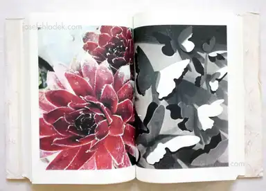 Sample page 8 for book "Yamawaki, Toshitsugu – Toshitsugu Yamawaki - Dual II" Sample page 8 for book "Yamawaki, Toshitsugu – Toshitsugu Yamawaki - Dual II"