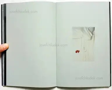 Sample page 8 for book "Kruse, Calin – Calin Kruse - Darkest" Sample page 8 for book "Kruse, Calin – Calin Kruse - Darkest"