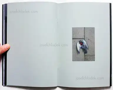 Sample page 7 for book "Kruse, Calin – Calin Kruse - Darkest" Sample page 7 for book "Kruse, Calin – Calin Kruse - Darkest"