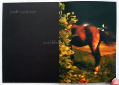 Sample page 12 for book "Tcherkezyan, Tatiana – Tatiana Tcherkezyan - Deep Inside" Sample page 12 for book "Tcherkezyan, Tatiana – Tatiana Tcherkezyan - Deep Inside"