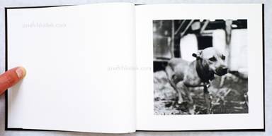 Sample page 1 for book  Jaka Babnik – We are dogs!