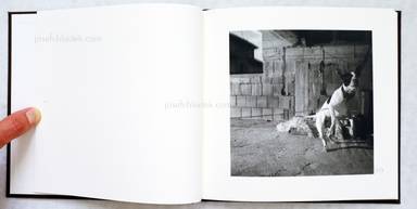 Sample page 10 for book "Babnik, Jaka – Jaka Babnik - We are dogs!" Sample page 10 for book "Babnik, Jaka – Jaka Babnik - We are dogs!"