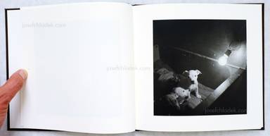 Sample page 9 for book "Babnik, Jaka – Jaka Babnik - We are dogs!" Sample page 9 for book "Babnik, Jaka – Jaka Babnik - We are dogs!"