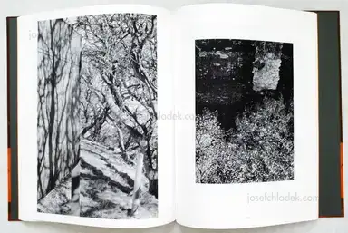 Sample page 6 for book "Trogisch, Andreas – Andreas Trogisch - Replies - thirteen small conversations" Sample page 6 for book "Trogisch, Andreas – Andreas Trogisch - Replies - thirteen small conversations"
