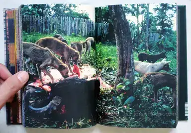 Sample page 10 for book "Rio Branco, Miguel – Miguel Rio Branco - Você Está Feliz?" Sample page 10 for book "Rio Branco, Miguel – Miguel Rio Branco - Você Está Feliz?"