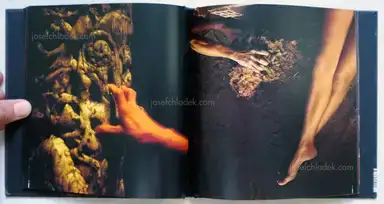 Sample page 8 for book "Rio Branco, Miguel – Miguel Rio Branco - Silent Book" Sample page 8 for book "Rio Branco, Miguel – Miguel Rio Branco - Silent Book"