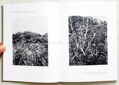 Sample page 2 for book  Michael Schmidt – Natur