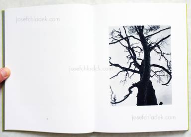 Sample page 3 for book  Michael Schmidt – Natur