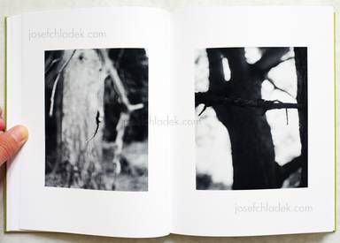 Sample page 5 for book  Michael Schmidt – Natur