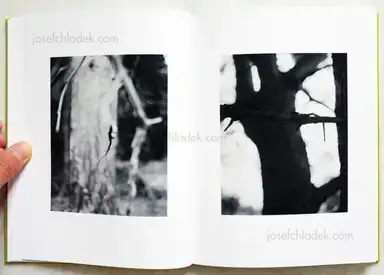 Sample page 10 for book "Schmidt, Michael – Michael Schmidt - Natur" Sample page 10 for book "Schmidt, Michael – Michael Schmidt - Natur"