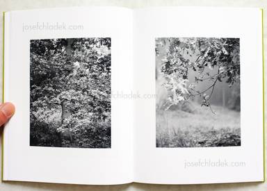 Sample page 8 for book  Michael Schmidt – Natur