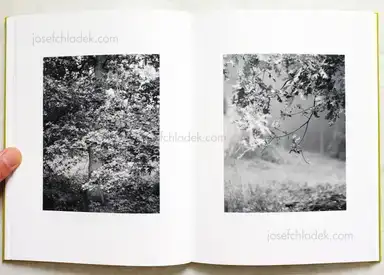 Sample page 7 for book "Schmidt, Michael – Michael Schmidt - Natur" Sample page 7 for book "Schmidt, Michael – Michael Schmidt - Natur"