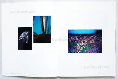 Sample page 11 for book "Greif, Der – Der Greif - A Process" Sample page 11 for book "Greif, Der – Der Greif - A Process"