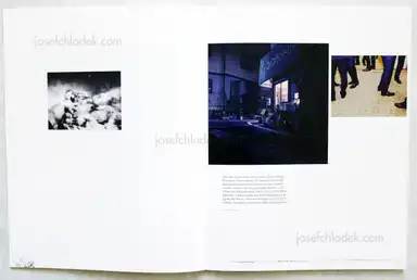Sample page 9 for book "Greif, Der – Der Greif - A Process" Sample page 9 for book "Greif, Der – Der Greif - A Process"