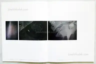 Sample page 6 for book "Greif, Der – Der Greif - A Process" Sample page 6 for book "Greif, Der – Der Greif - A Process"