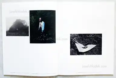Sample page 2 for book "Greif, Der – Der Greif - A Process" Sample page 2 for book "Greif, Der – Der Greif - A Process"
