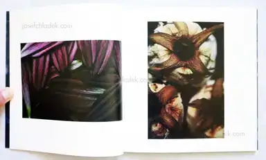 Sample page 7 for book "Ichii, Ryo – Ryo Ichii - The Veins" Sample page 7 for book "Ichii, Ryo – Ryo Ichii - The Veins"
