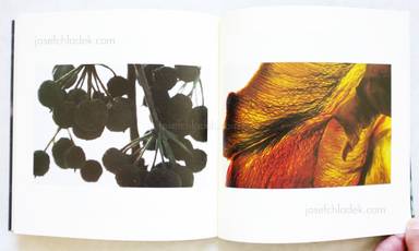 Sample page 7 for book  Ryo Ichii – The Veins