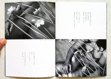Sample page 4 for book  Saori Ninomiya –  Visual Line/Private Line 視線/私線