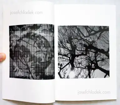 Sample page 5 for book "Hirabayashi, Tatsuya – Tatsuya Hirabayashi - Cost of Growth 成長の代価" Sample page 5 for book "Hirabayashi, Tatsuya – Tatsuya Hirabayashi - Cost of Growth 成長の代価"