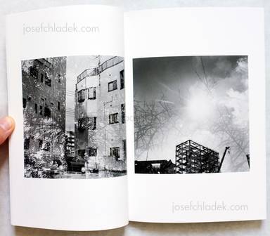 Sample page 4 for book "Hirabayashi, Tatsuya – Tatsuya Hirabayashi - Cost of Growth 成長の代価" Sample page 4 for book "Hirabayashi, Tatsuya – Tatsuya Hirabayashi - Cost of Growth 成長の代価"