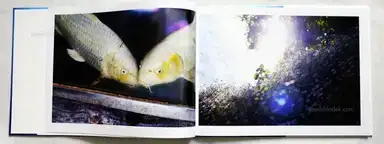 Sample page 6 for book "Kato, Yuka – Yuka Kato - Share the fate 一蓮托生" Sample page 6 for book "Kato, Yuka – Yuka Kato - Share the fate 一蓮托生"