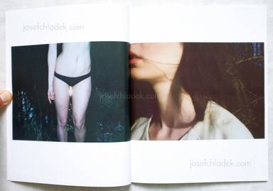 Sample page 3 for book  Heiner Luepke – Signs