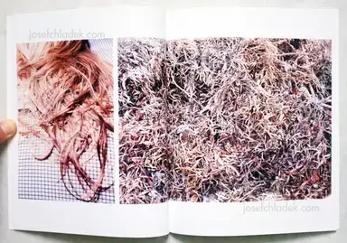Sample page 9 for book "Luepke, Heiner – Heiner Luepke - Signs" Sample page 9 for book "Luepke, Heiner – Heiner Luepke - Signs"