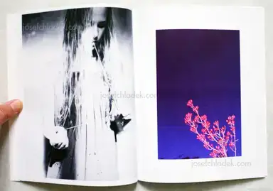 Sample page 7 for book "Luepke, Heiner – Heiner Luepke - Signs" Sample page 7 for book "Luepke, Heiner – Heiner Luepke - Signs"
