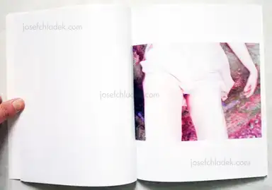 Sample page 6 for book "Luepke, Heiner – Heiner Luepke - Signs" Sample page 6 for book "Luepke, Heiner – Heiner Luepke - Signs"