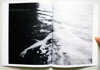 Sample page 1 for book "Luepke, Heiner – Heiner Luepke - Signs" Sample page 1 for book "Luepke, Heiner – Heiner Luepke - Signs"