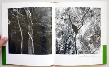 Sample page 6 for book "Hirabayashi, Tatsuya – Tatsuya Hirabayashi - Mt.Takao - Mountain of spirit 高尾山~霊気満山~" Sample page 6 for book "Hirabayashi, Tatsuya – Tatsuya Hirabayashi - Mt.Takao - Mountain of spirit 高尾山~霊気満山~"