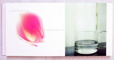 Sample page 1 for book  Takashi Eguchi &ndash; Fractalic Fantastica