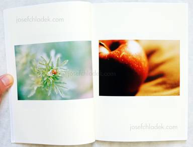 Sample page 3 for book  Chikako Mizukoshi – A yearning heart