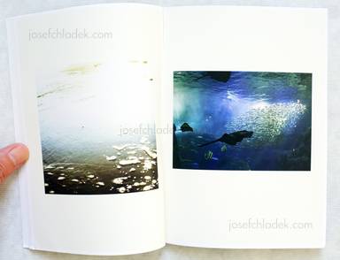 Sample page 4 for book  Chikako Mizukoshi – A yearning heart