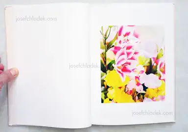 Sample page 7 for book "Usui, Kazuyoshi – Kazuyoshi Usui - Showa88 / 昭和88年" Sample page 7 for book "Usui, Kazuyoshi – Kazuyoshi Usui - Showa88 / 昭和88年"