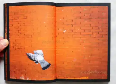 Sample page 12 for book "Hornillos, David – David Hornillos - Mediodía" Sample page 12 for book "Hornillos, David – David Hornillos - Mediodía"