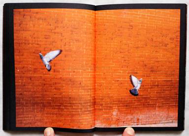 Sample page 6 for book "Hornillos, David – David Hornillos - Mediodía" Sample page 6 for book "Hornillos, David – David Hornillos - Mediodía"