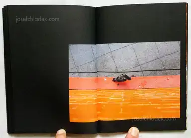 Sample page 4 for book "Hornillos, David – David Hornillos - Mediodía" Sample page 4 for book "Hornillos, David – David Hornillos - Mediodía"