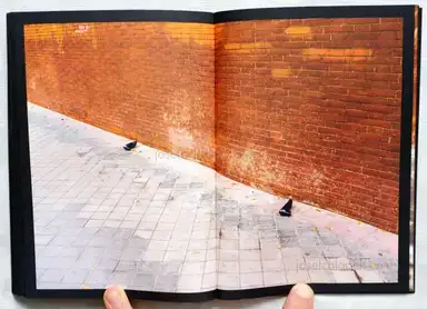 Sample page 3 for book "Hornillos, David – David Hornillos - Mediodía" Sample page 3 for book "Hornillos, David – David Hornillos - Mediodía"