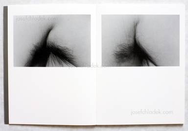 Sample page 4 for book  Jun Fujiyasu – DZ dizygotic twins