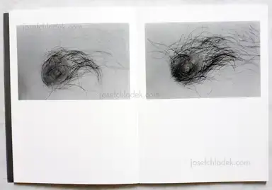 Sample page 4 for book "Fujiyasu, Jun – Jun Fujiyasu - DZ dizygotic twins" Sample page 4 for book "Fujiyasu, Jun – Jun Fujiyasu - DZ dizygotic twins"