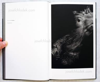 Sample page 8 for book "Mazuki, Yoko – Yoko Mazuki - a priori innerplants" Sample page 8 for book "Mazuki, Yoko – Yoko Mazuki - a priori innerplants"